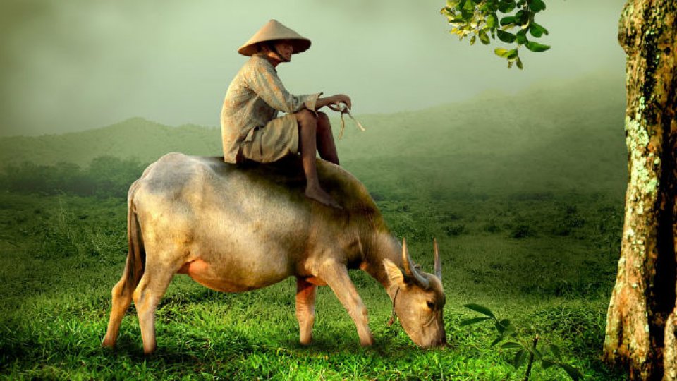 Cel mai bătrân bărbat din lume nu a băut, nu a fumat și nu a muncit mult