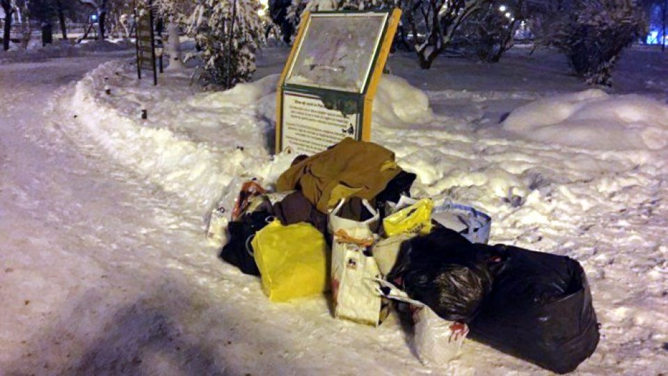 Campania ”Îmbracă un copac pentru un nevoiaş” a ajuns şi în Bucureşti