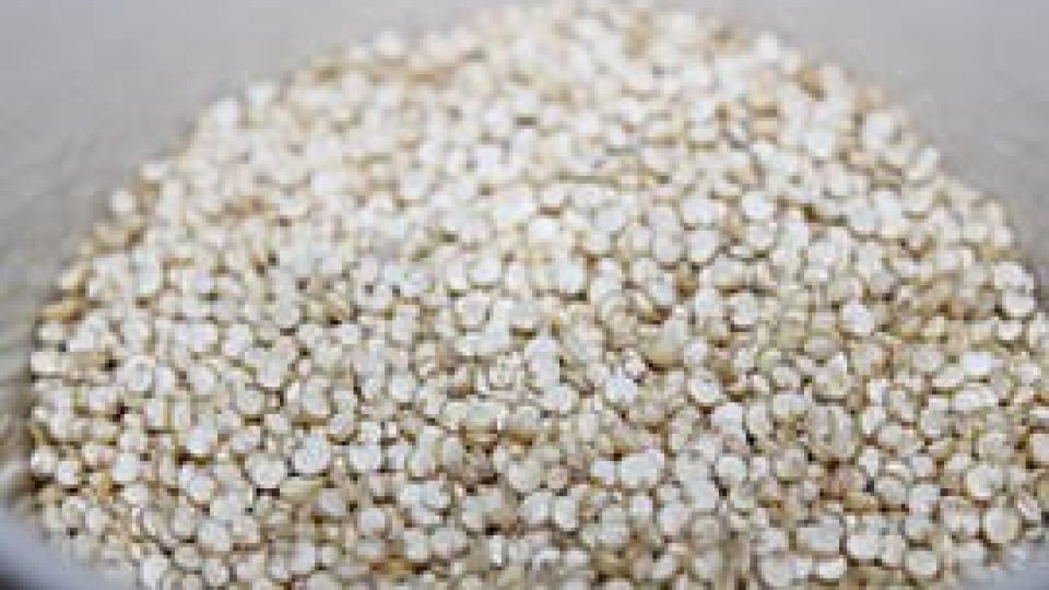 Esperanto de gastronomie