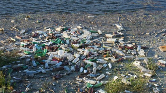 În câteva decenii ”vom mânca plastic”