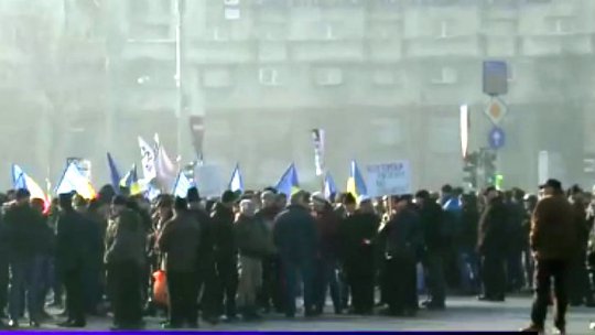 Reprezentanți din industria lemnului, protest la Guvern