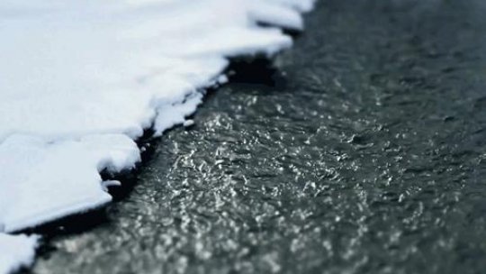 Masaru Emoto: Conştiinţa umană poate modifica structura moleculară a apei