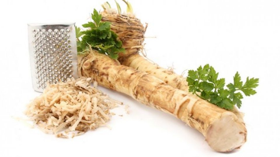 Ierburi și mirodenii – secrete pierdute (IX)