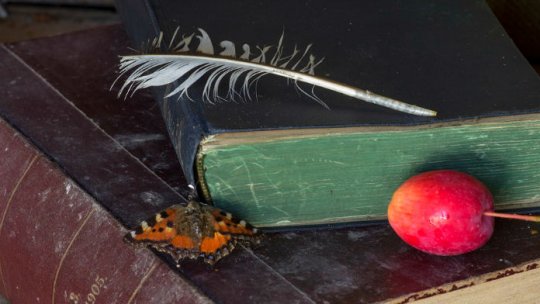 REGULAMENTUL CONCURSULUI „Radio România Actualităţi vă invită la lectură”