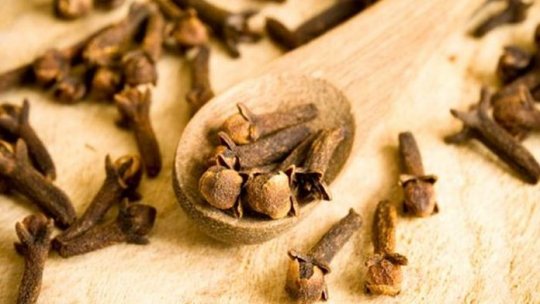 Ierburi și mirodenii – secrete pierdute (VI)