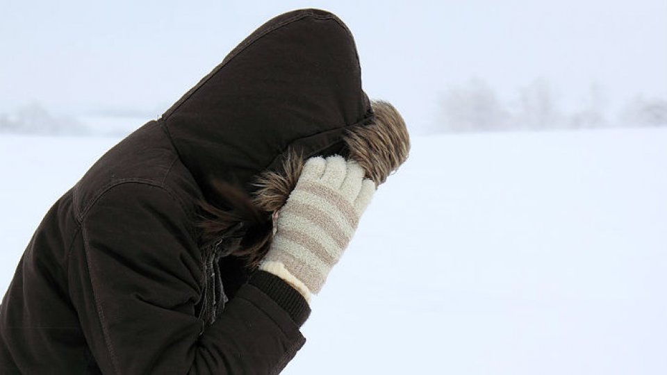 Aria ninsorilor a început să se restrângă