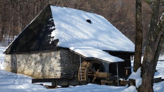 Număr record de vizitatori la Muzeul Astra din Sibiu
