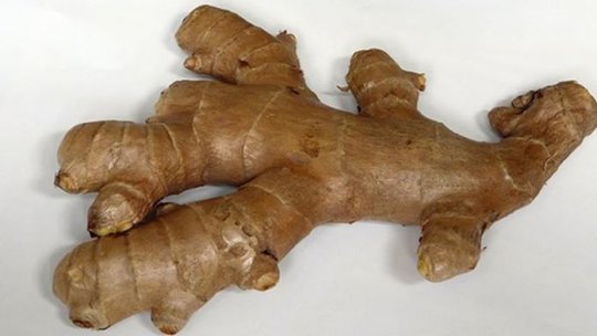 Ierburi și mirodenii – secrete pierdute (VII)