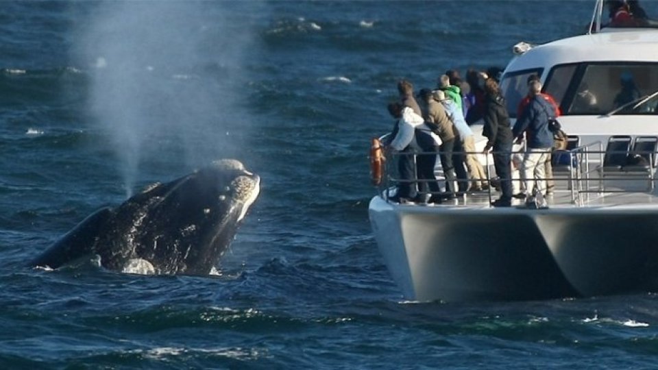 Redescoperă lumea: Africa de Sud