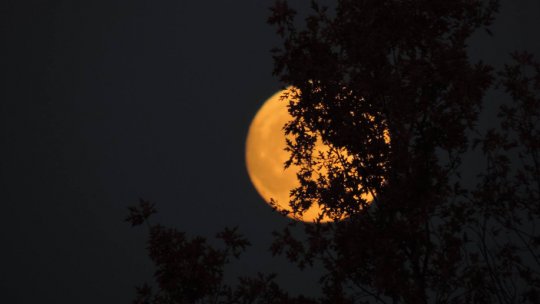 Luni e superlună, cea mai "mare" Lună din ultimii 68 de ani