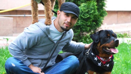 Cum inveti cainele sa se fereasca de masini