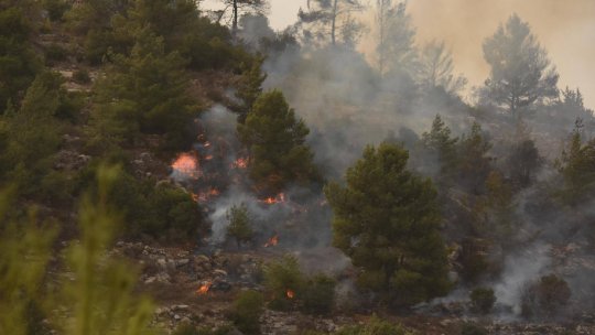 Israel: 12 suspecţi arestaţi sub bănuiala că au provocat incendii