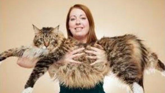 Cel mai lung motan din lume