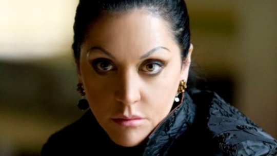 Sediul Teatrului de Operetă este în litigiu