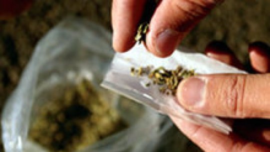  Creştere cu peste 55 % a cantităţii de droguri confiscate