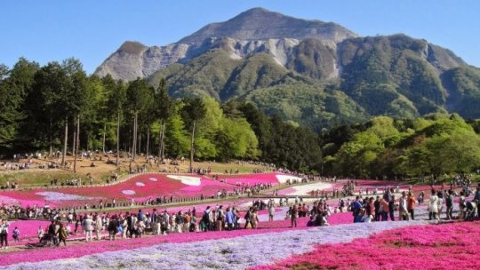 Redescoperă lumea : Japonia