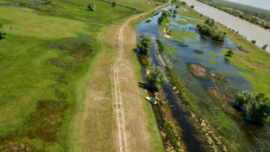 Reinundarea luncii Dunării, posibilă rezolvare pentru trei probleme