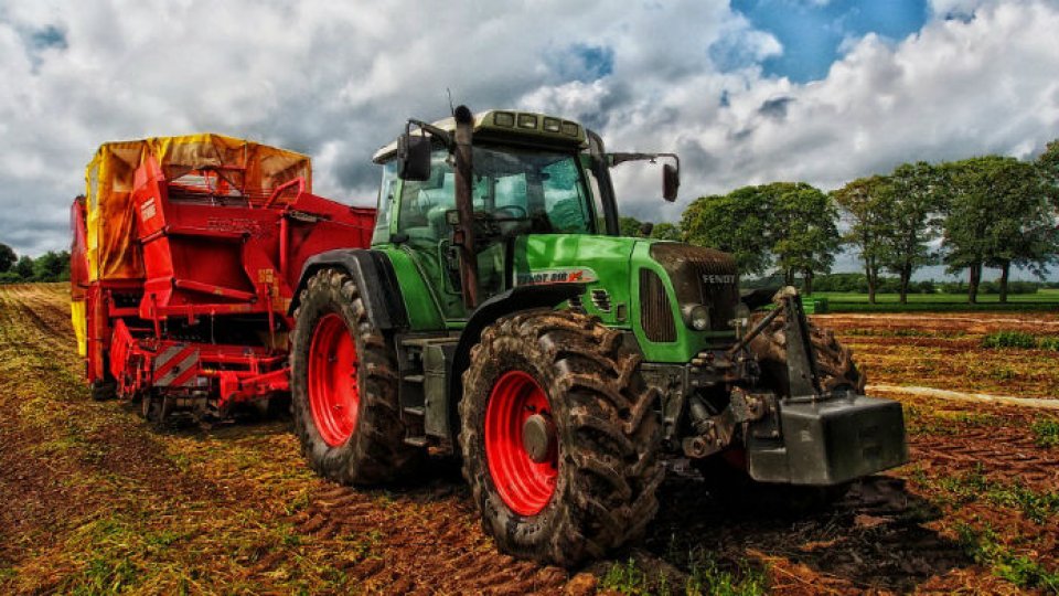 Fermierii sunt îngrijorați: preţul cerealelor a scăzut semnificativ