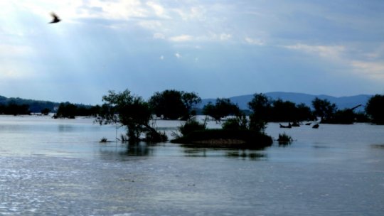 Fotografia în slujba mediului