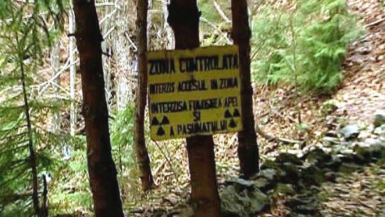 Mediul urban în care trăim "ne îmbolnăvește"