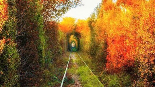 Tunelul Dragostei din Caraş-Severin