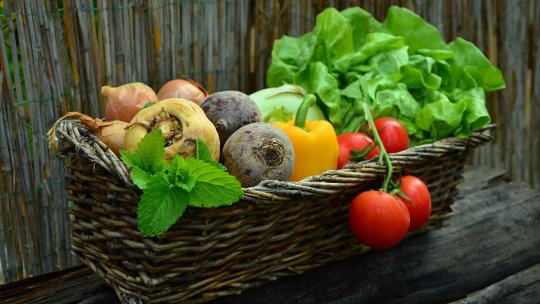 IMUNITATEA  - echilibrul fragil între radicalii liberi şi antioxidanţi