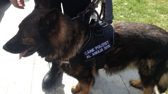 Câinele poliţist al anului