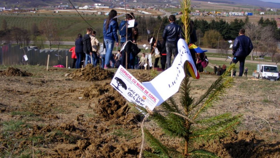 Copacul cu nume de copil