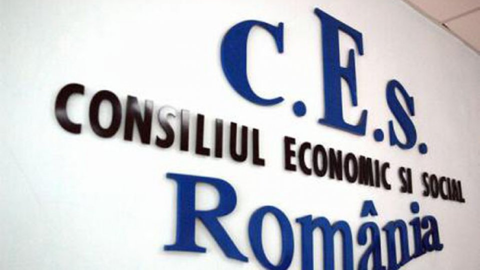 Consiliul Economic și social împotriva modificării Legii 41