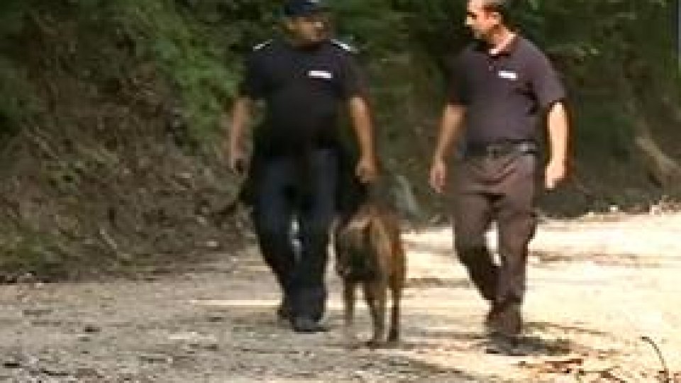 Cei doi copii dispăruți într-o pădure din Vaslui au fost găsiți