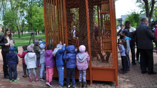 FOTO: Căsuţa veveriţelor, noul punct de atracţie al parcului din Bistriţa