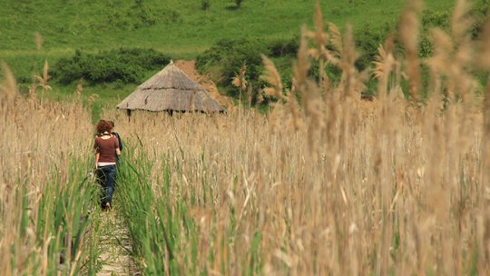 Călătorii prin tață. Murfatlar