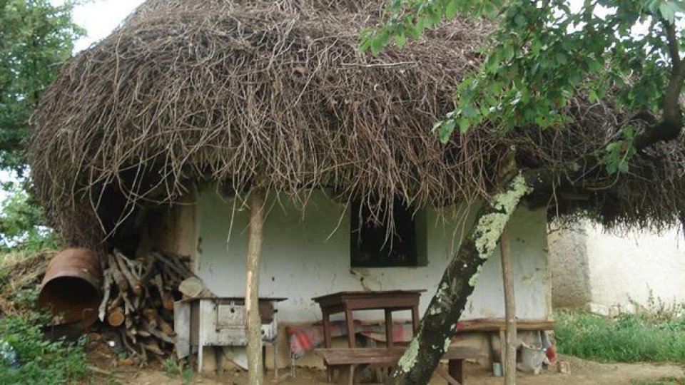 Americani in Salaj: Românii calzi și prietenoși