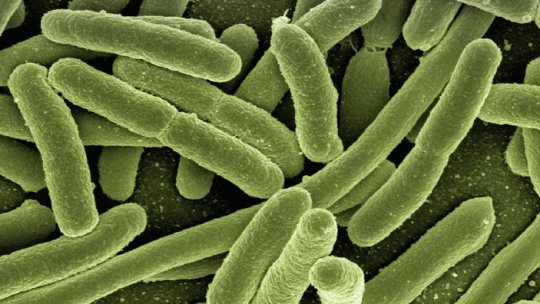 Bacteria E.coli, confirmată la 3 persoane din anturajul fetiţei din spital
