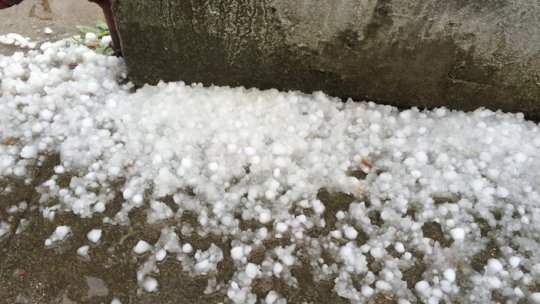 FOTO: Grindină "cât bobul de struguri" în Sălaj