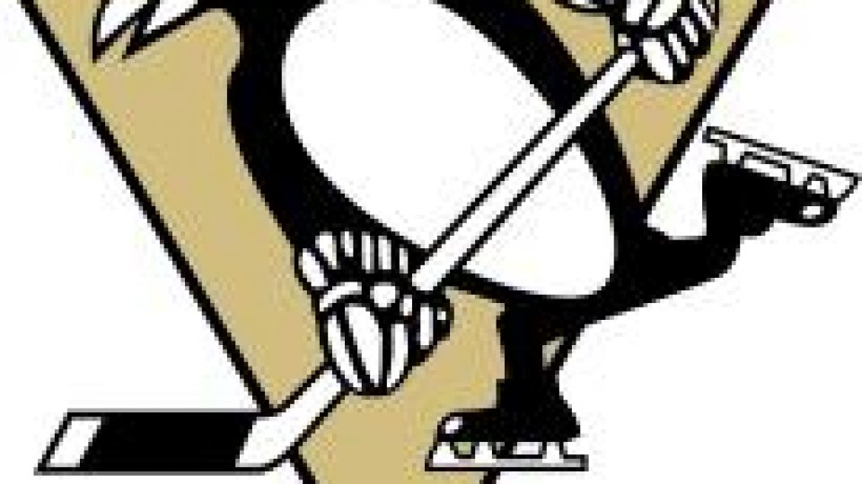 Hochei: Pittsburgh Penguins a cucerit Cupa Stanley