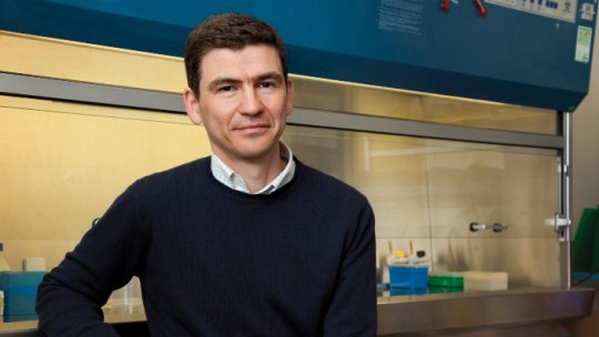 Un român a primit cel mai prestigios premiu din  Olanda pentru cercetare