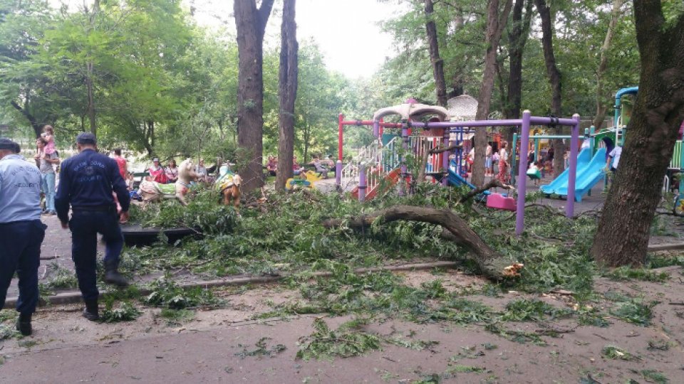 FOTO: Doi adulți și patru copii - răniți în Parcul Cișmigiu din Capitală