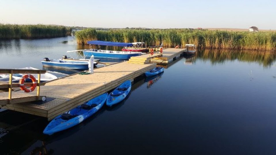 Recoltarea stufului este din nou autorizată în Delta Dunării