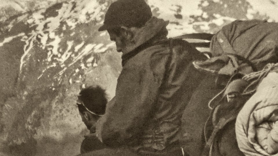 Bandiţi sau eroi. Grupurile de rezistenţă din munţii României (1948-1958)