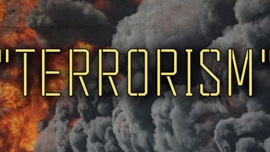 Steag ISIS, găsit în camera atacatorului cu toporul din trenul german