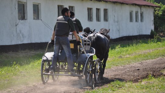FOTO: Oameni și cai la Beclean