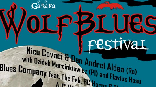 Prima ediţie a festivalului Gărâna Wolfblues