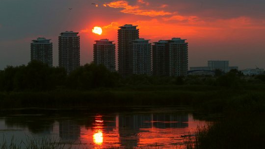 Acțiune de ecologizare în Delta Văcărești