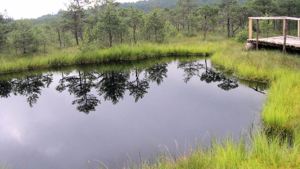 O vizită în rezervația naturală Tinovul Mare