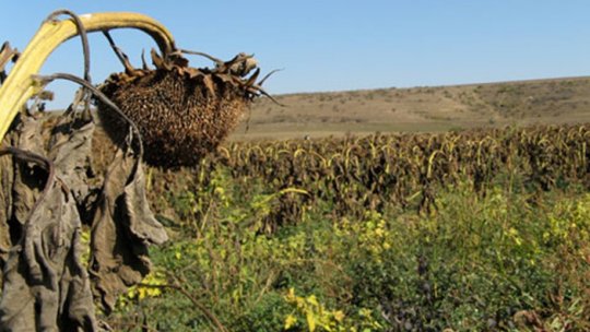 Veste prostă pentru agricultori. Meteorologii anunţă o toamnă secetoasă