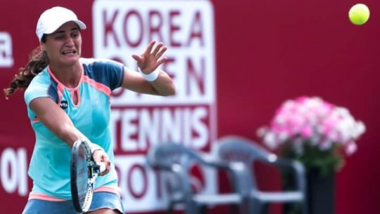 Monica Niculescu, învinsă în finala turneului de la Seul