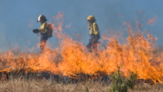 Incendii de vegetaţie în nordul statului California