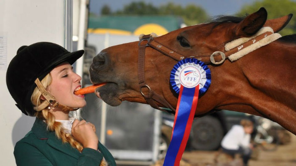 Morcovii consolidează sistemul imunitar