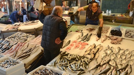Controale ANSVSA la comercianţii şi procesatorii de peşte